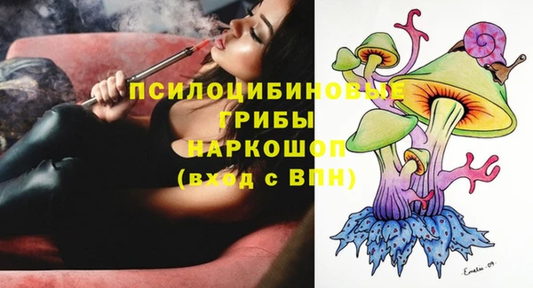PSILOCYBIN Верея