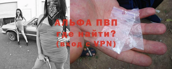 PSILOCYBIN Верея